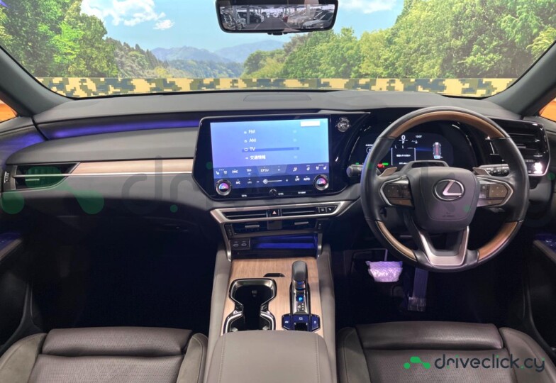Lexus RX Серый