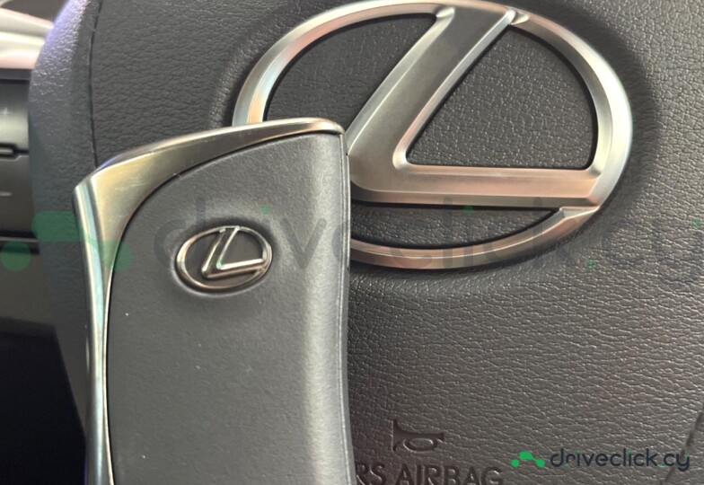 Lexus RX Серый