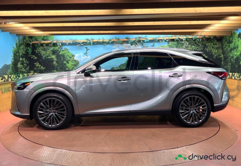 Lexus RX Серый