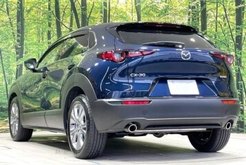 Mazda CX-30 Hybrid, 2024, 2024
