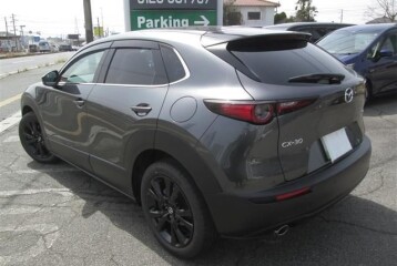 Mazda CX-30 , 2025, 2025