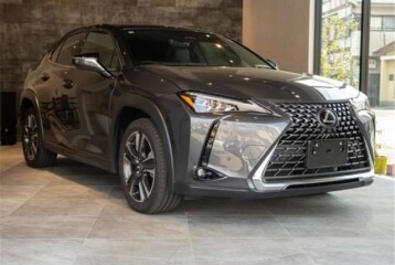 Lexus UX 300h, 2024, 2024