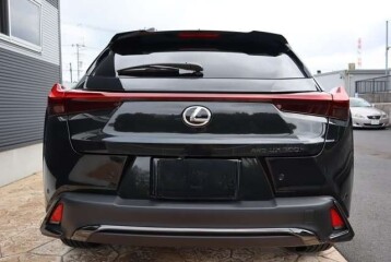 Lexus UX 300h, 2024, 2024