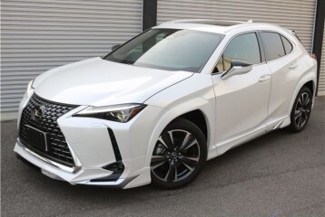 Lexus UX 300h, 2024, 2024