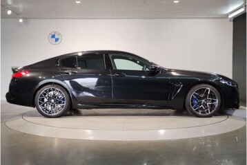 BMW M8 xDrive Competition, 2024, 2024