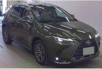 Lexus NX 350h, 2024