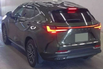 Lexus NX 350h, 2024