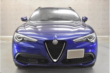 Alfa Romeo Stelvio 2.0 Turbo Q4, 2021