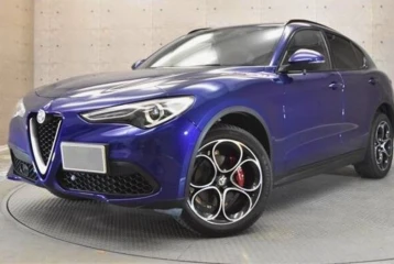 Alfa Romeo Stelvio 2.0 Turbo Q4, 2021