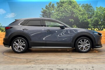 Mazda CX-30 20S 4WD Hybrid, 2023, 2023