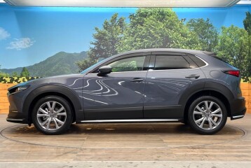 Mazda CX-30 20S 4WD Hybrid, 2023, 2023