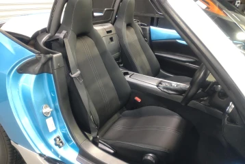 Mitsuoka Rockstar , 2021