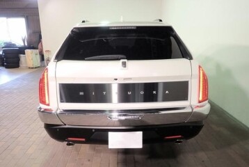 Mitsuoka Buddy 20ST, 2022, 2022