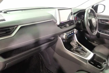 Mitsuoka Buddy 20ST, 2022