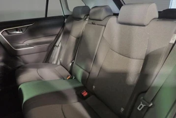 Mitsuoka Buddy 20ST, 2022