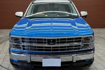 Mitsuoka Buddy 20ST, 2023