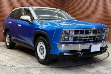 Mitsuoka Buddy 20ST, 2023