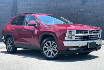 Mitsuoka Buddy 20ST, 2024