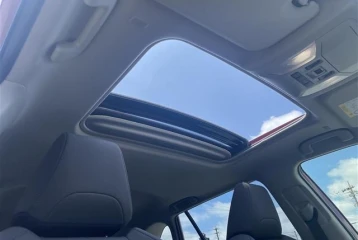 Mitsuoka Buddy 20ST, 2024