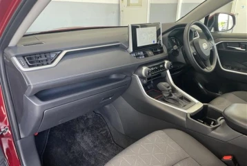 Mitsuoka Buddy 20ST, 2024