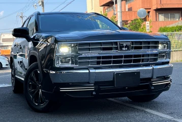 Mitsuoka Buddy Hybrid DX, 2024