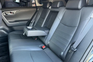 Mitsuoka Buddy Hybrid DX, 2024