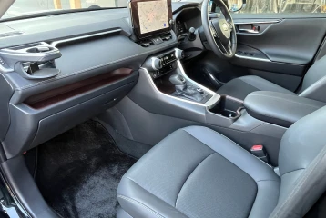 Mitsuoka Buddy Hybrid DX, 2024