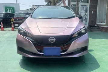 Nissan Leaf X Smart Key, 2022
