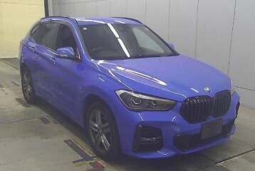 BMW X1 xDrive 18d M Sport, 2021, 2021