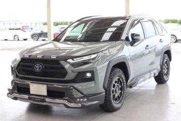 Toyota RAV4 Hybrid Adventure E-Four, 2024