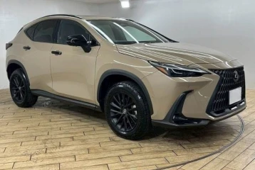 Lexus NX NX350 Overtrail, 2024