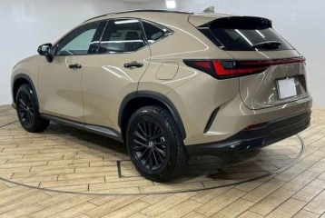 Lexus NX NX350 Overtrail, 2024