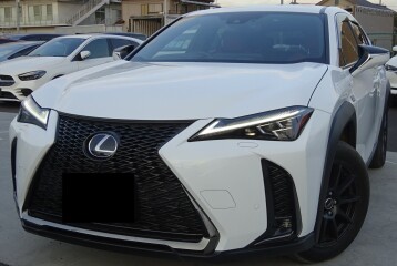 Lexus UX 250h, 2022, 2022