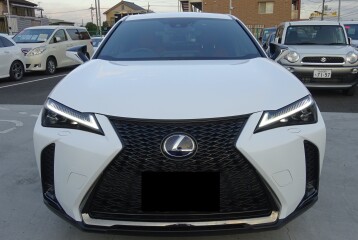 Lexus UX 250h, 2022, 2022