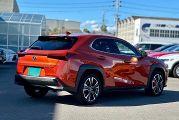 Lexus UX 200, 2023, 2023