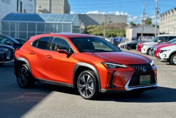 Lexus UX 200, 2023, 2023
