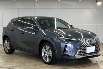 Lexus UX 250h, 2024, 2024