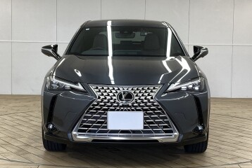 Lexus UX 250h, 2024, 2024