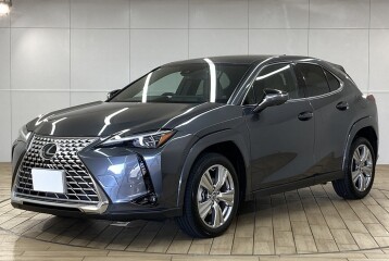 Lexus UX 250h, 2024, 2024