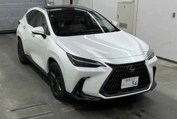 Lexus NX 350h Version L, 2024