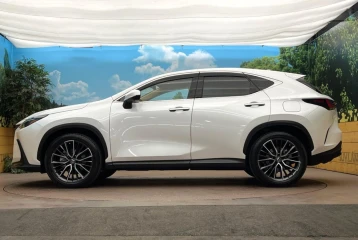 Lexus NX 250 Version L, 2023