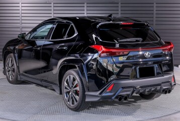Lexus UX 300h F Sport, 2024, 2024