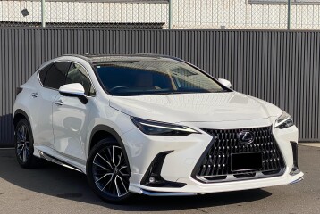 Lexus NX 250 Version L, 2023