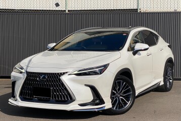 Lexus NX 250 Version L, 2023