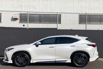 Lexus NX 250 Version L, 2023