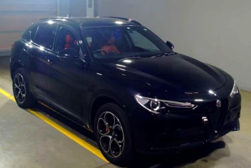 Alfa Romeo Stelvio 2.0 Turbo Q4, 2022