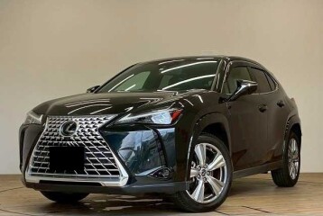 Lexus UX 250h Graceful Explorer, 2023