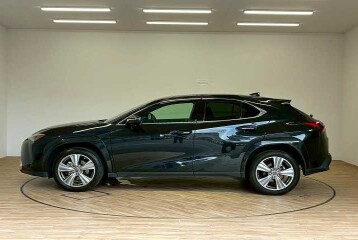Lexus UX 250h Graceful Explorer, 2023