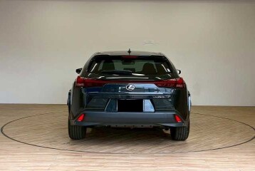 Lexus UX 250h Graceful Explorer, 2023