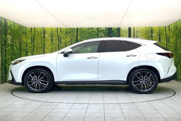Lexus NX 250 Version L, 2025